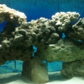 Right Side of tank.
