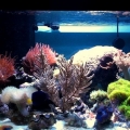 new fts