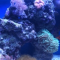 tank1.12