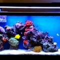 tank2.1