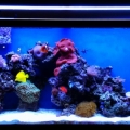 tank2.2