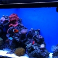 tank2.3
