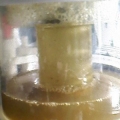 2days skimmate