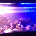 IMAG0044