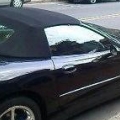 vette