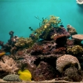 FTS2