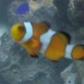 2011 04 04 21.33.05 1(2)
