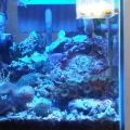 IMG01310 20110601 1910