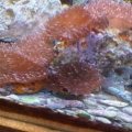 IMG01231 20110502 1451