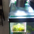 IMG01306 20110531 1838