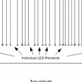 LED Fixture