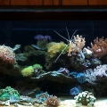 FTS early July 2011