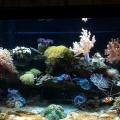 FTS July 2011