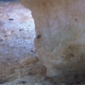 Snail 3