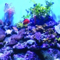 FTS