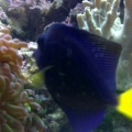 IMG 20110825 00073
