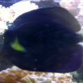 IMG 20110825 00074