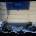 29g 4