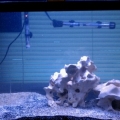 29g 6