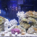 FTS02