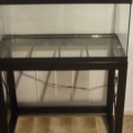 Empty and leveled.