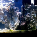 After scrubbing all rocks.