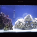 10-22-11 update