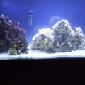 10-22-11 update2