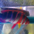 IMAG0657