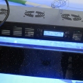 180W LED aquarium light with timer over a fish tank:Uniform 120 degree angle primary optics 2’ x 2’ Core coverage area;4 fans Good cooling result;Smart LCD Controlling
Many modes and easy to control, smart controlling