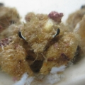 decorator crab