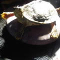IMG01501 20110922 1214