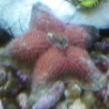 IMG01575 20111130 1625
