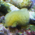 IMG01535 20111019 1634