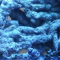 IMG01496 20110913 1726
