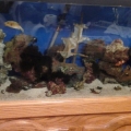 55gal Tank