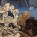 Left Side