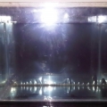 SUMP