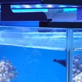 aquarium light s(06 18 11 01 02)