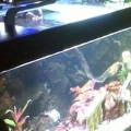 aquarium led lights02