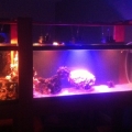 Showing off the range of colors with my custom LED lights