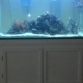 setting up my new tank