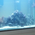 setting up my new tank