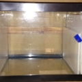 3 chamber refugium.