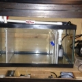 15 gallon refugium inside a DIY strand made out of my old dresser.