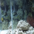 IMG 20130202 142022