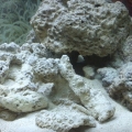 IMG 20130202 142050