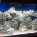 Aquascape1