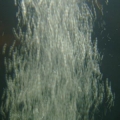 air  2 (1)
