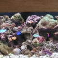 Salt Tank 8 31 08